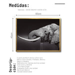 Cargar imagen en el visor de la galería, Cuadro Decorativo Fauna 003 -  Elefante Blanco y Negro
