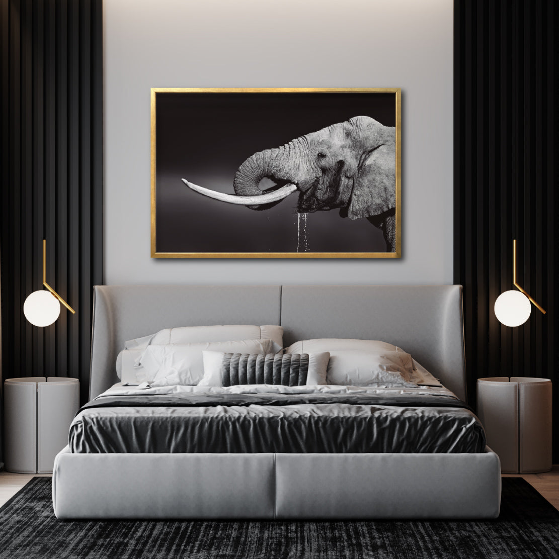Cuadro Decorativo Fauna 003 -  Elefante Blanco y Negro