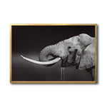 Cargar imagen en el visor de la galería, Cuadro Decorativo Fauna 003 -  Elefante Blanco y Negro
