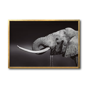 Cuadro Decorativo Fauna 003 -  Elefante Blanco y Negro
