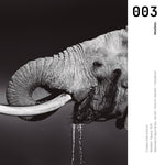 Cargar imagen en el visor de la galería, Cuadro Decorativo Fauna 003 -  Elefante Blanco y Negro
