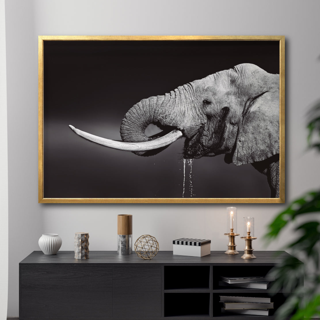 Cuadro Decorativo Fauna 003 -  Elefante Blanco y Negro