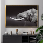 Cargar imagen en el visor de la galería, Cuadro Decorativo Fauna 003 -  Elefante Blanco y Negro
