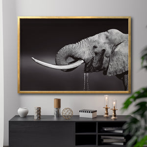 Cuadro Decorativo Fauna 003 -  Elefante Blanco y Negro