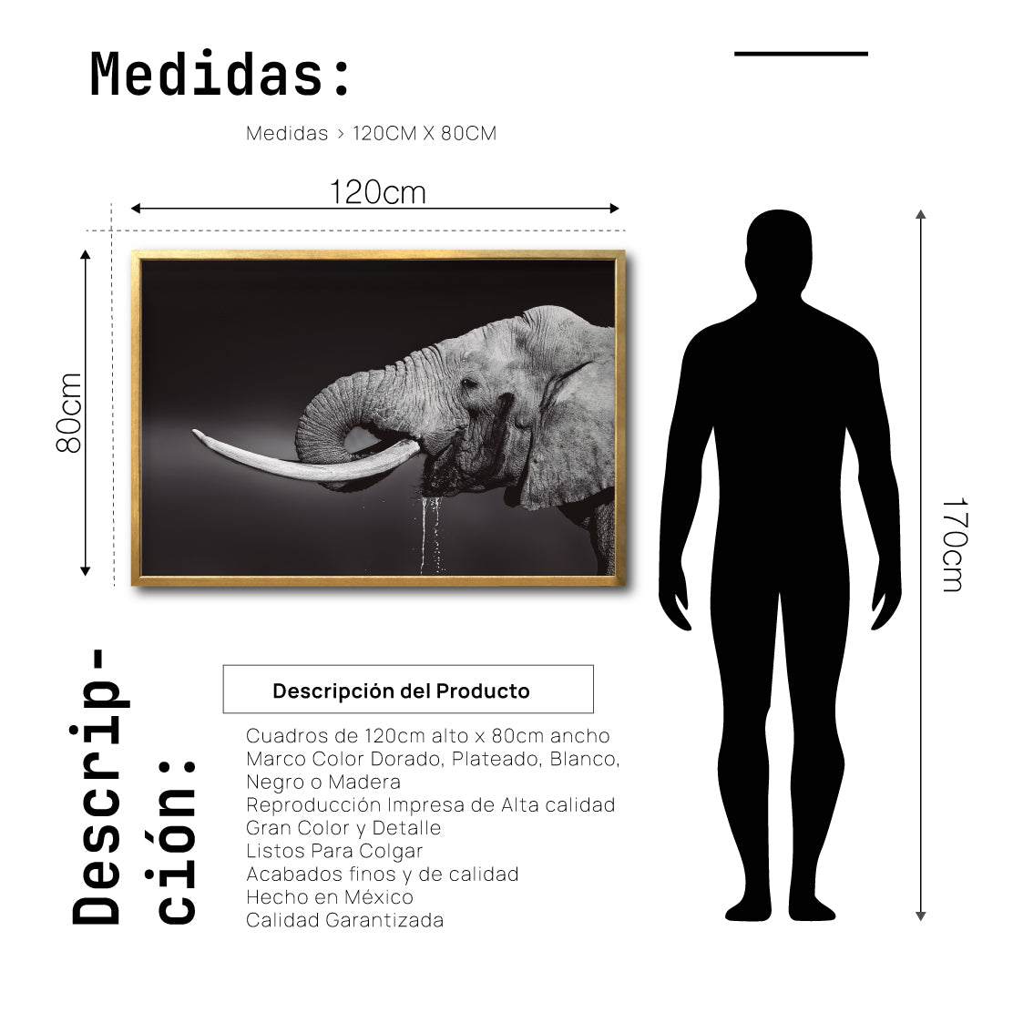 Cuadro Decorativo Fauna 003 -  Elefante Blanco y Negro