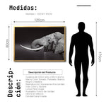 Cargar imagen en el visor de la galería, Cuadro Decorativo Fauna 003 -  Elefante Blanco y Negro
