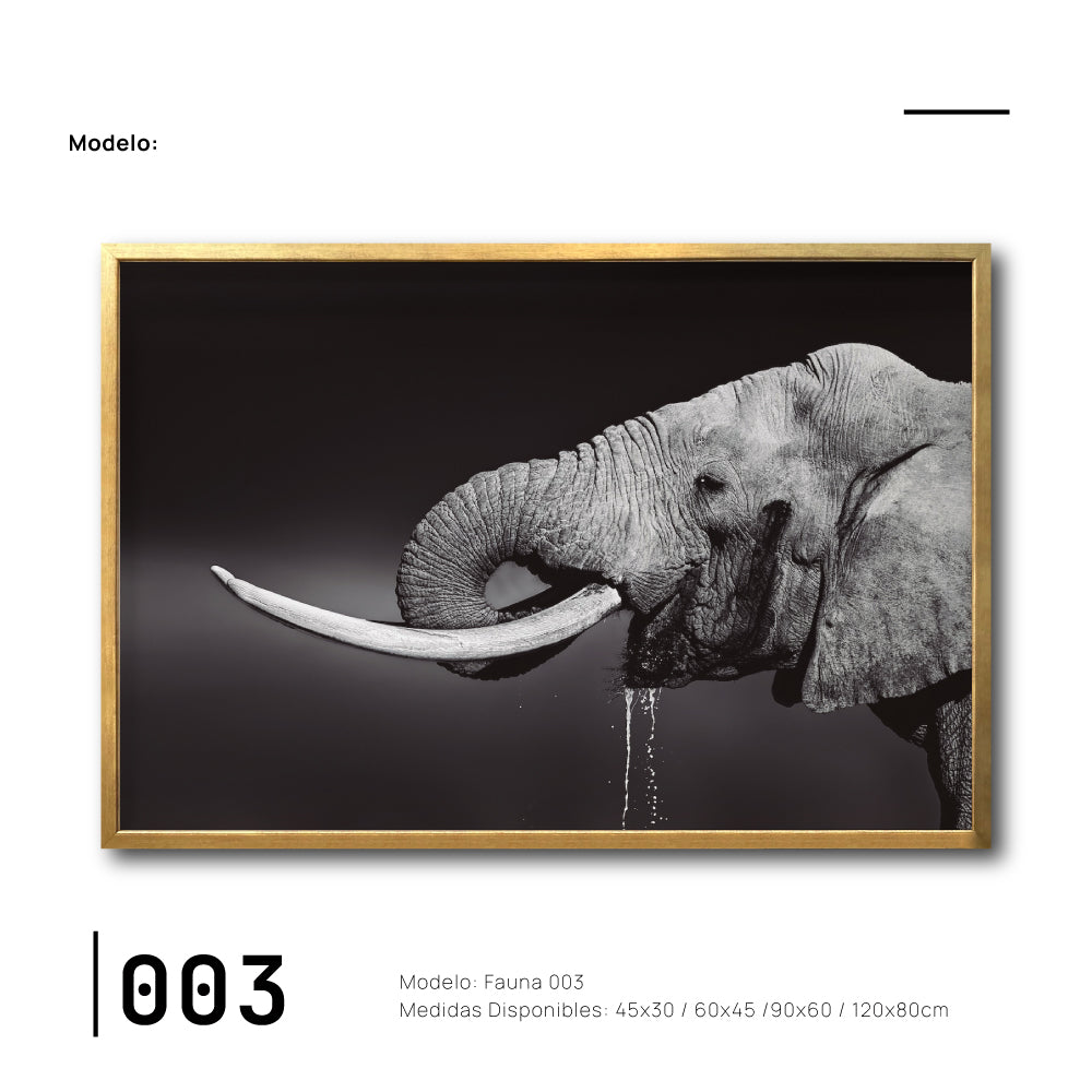  Cuadros Decorativos Canvas fauna Elefante Moderno Elegante para tu sala Galería314.Decoración de interiores. Interiorismo