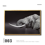Cargar imagen en el visor de la galería,  Cuadros Decorativos Canvas fauna Elefante Moderno Elegante para tu sala Galería314.Decoración de interiores. Interiorismo
