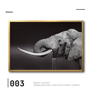  Cuadros Decorativos Canvas fauna Elefante Moderno Elegante para tu sala Galería314.Decoración de interiores. Interiorismo