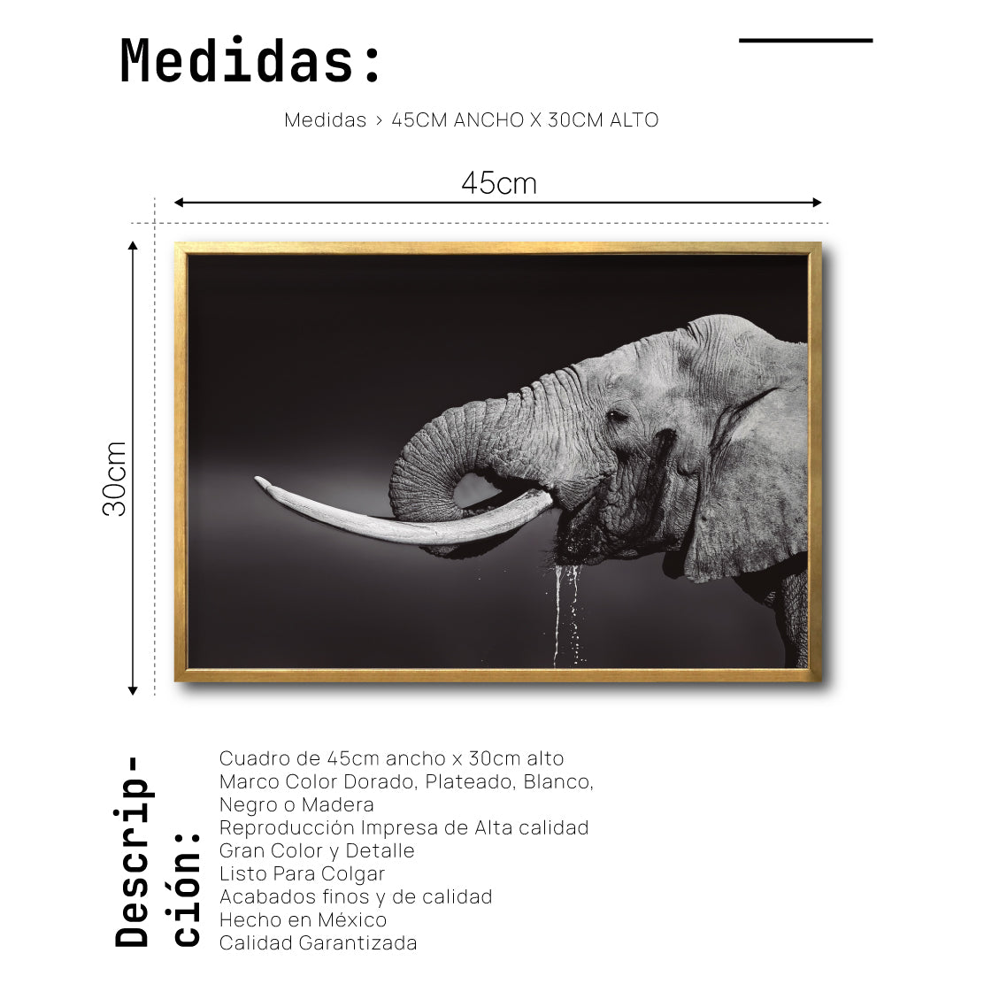 Cuadro Decorativo Fauna 003 -  Elefante Blanco y Negro