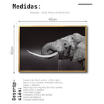 Cargar imagen en el visor de la galería, Cuadro Decorativo Fauna 003 -  Elefante Blanco y Negro
