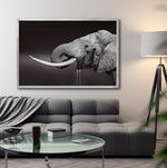 Cargar imagen en el visor de la galería, Cuadro Decorativo Fauna 003 -  Elefante Blanco y Negro
