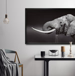 Cargar imagen en el visor de la galería, Cuadro Decorativo Fauna 003 -  Elefante Blanco y Negro
