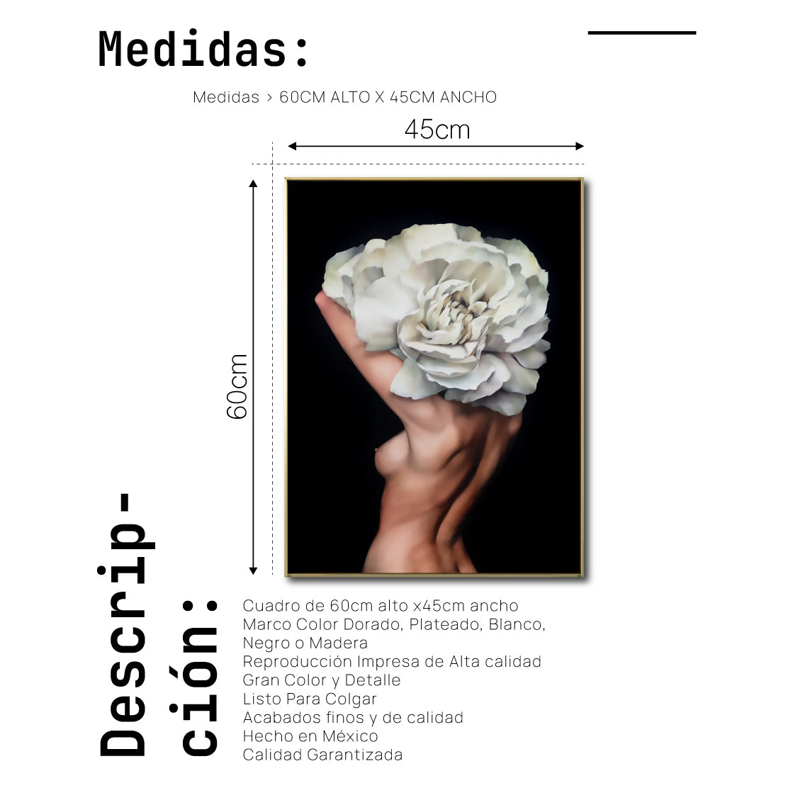 Cuadro Decorativo Mujer Floral y Alas 003 - Para Credenza