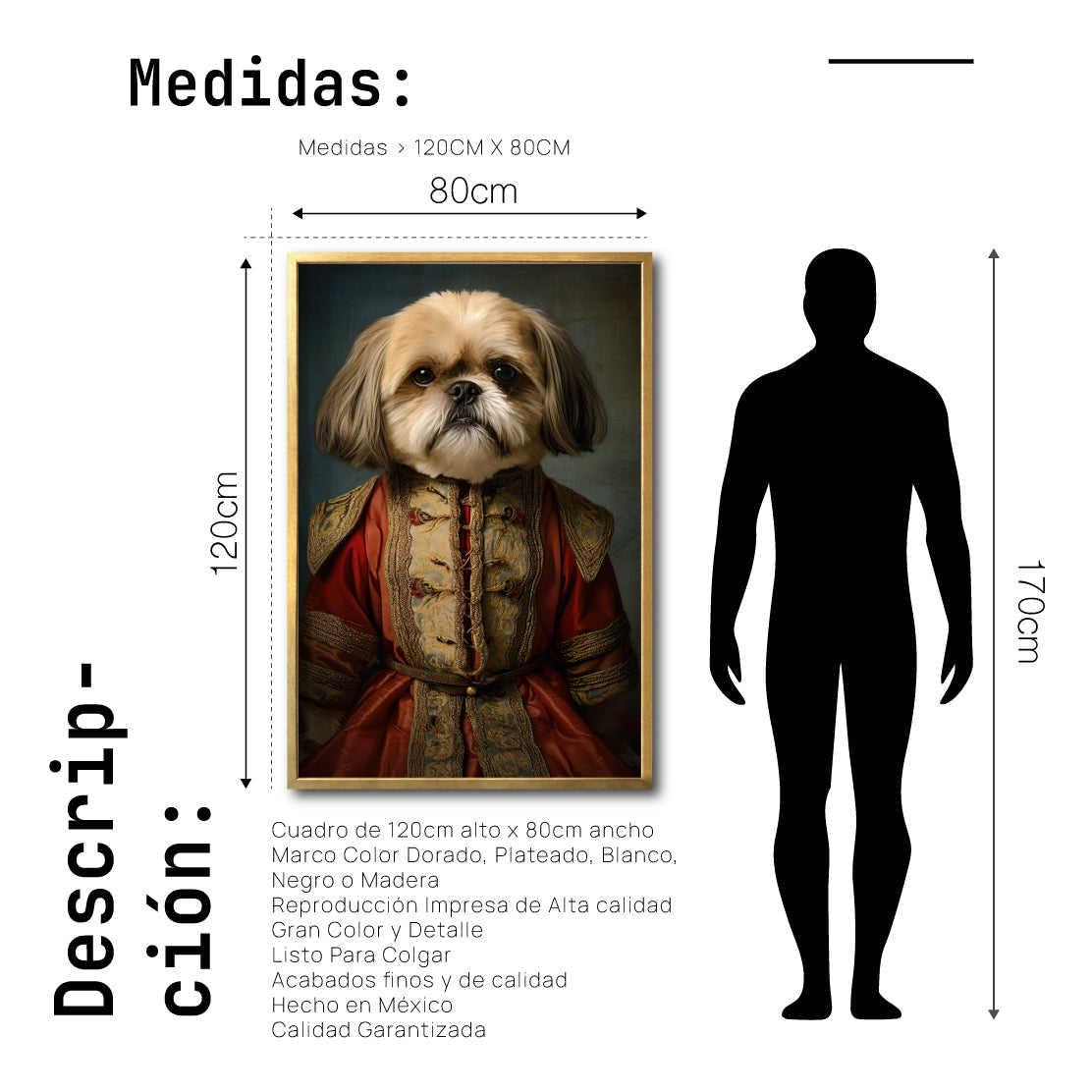 Cuadro Decorativo Perros Epoca 003 - Shih Tzu Aristócrata