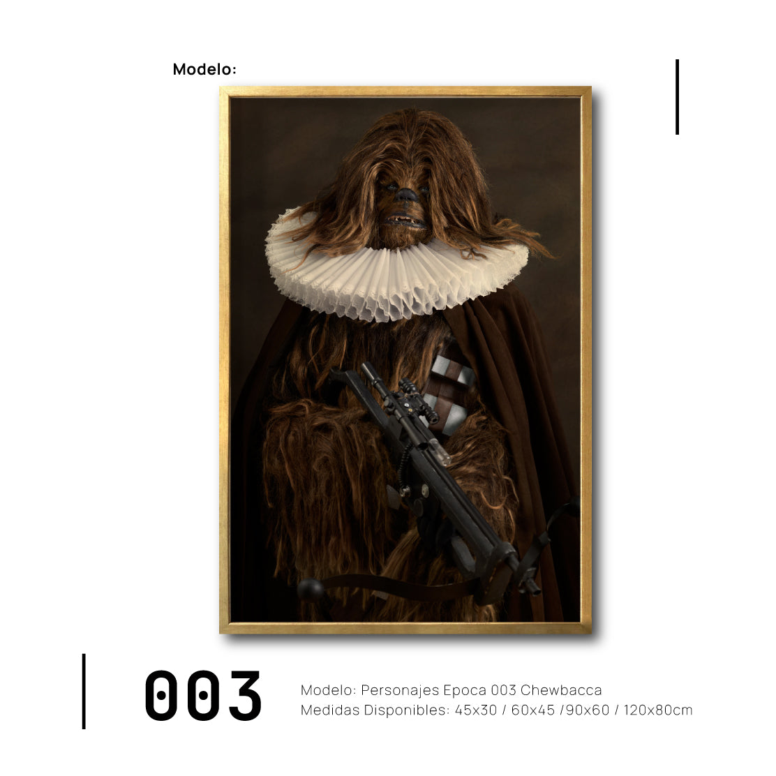 Cuadro Decorativo Personajes Época 003 Star Wars Chewbacca