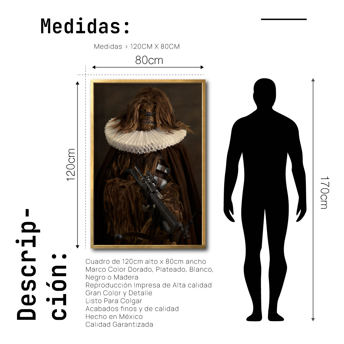 Cuadro Decorativo Personajes Época 003 Star Wars Chewbacca