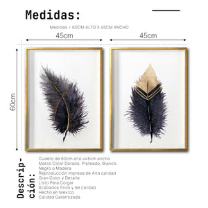 Set Cuadros Decorativos Plumas 003