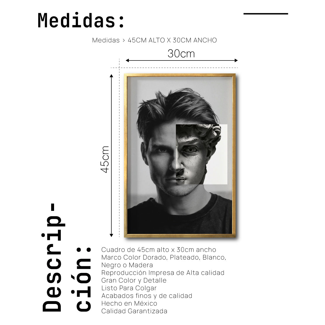 Cuadro Decorativo Rostros 003 Tom Cruise - El David