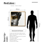 Cargar imagen en el visor de la galería, Cuadro Decorativo Esculturas 004 El David para Sala

