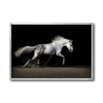 Cargar imagen en el visor de la galería, Cuadro Decorativo Caballos 004
