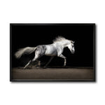 Cargar imagen en el visor de la galería, Cuadro Decorativo Caballos 004
