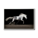 Cargar imagen en el visor de la galería, Cuadro Decorativo Caballos 004
