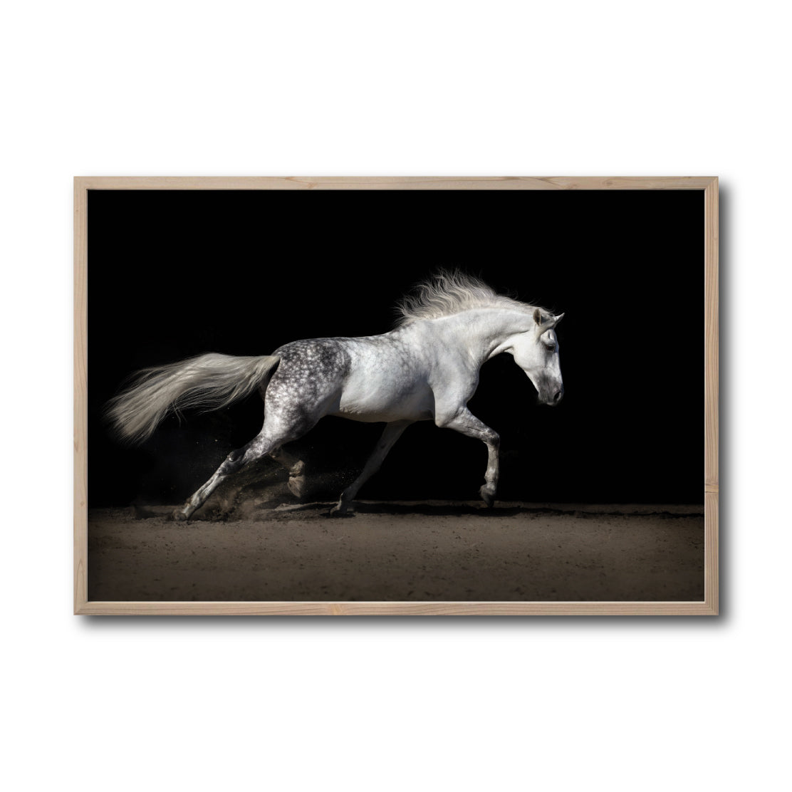 Cuadro Decorativo Caballos 004