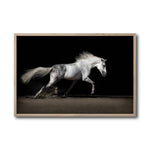 Cargar imagen en el visor de la galería, Cuadro Decorativo Caballos 004
