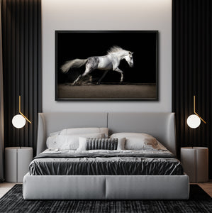 Cuadro Decorativo Caballos 004