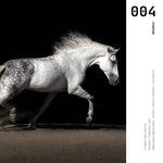 Cargar imagen en el visor de la galería, Cuadro Decorativo Caballos 004
