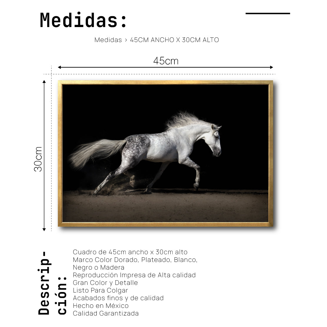 Cuadro Decorativo Caballos 004