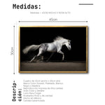 Cargar imagen en el visor de la galería, Cuadro Decorativo Caballos 004
