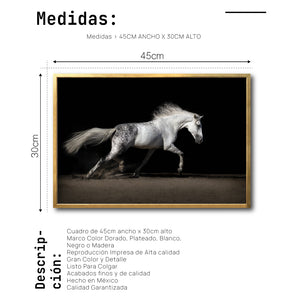Cuadro Decorativo Caballos 004