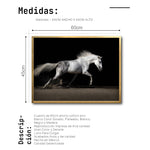 Cargar imagen en el visor de la galería, Cuadro Decorativo Caballos 004
