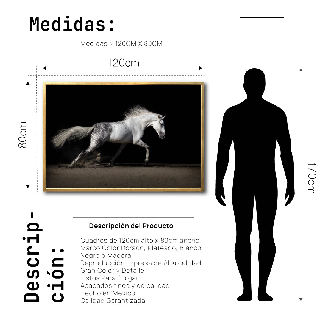 Cuadro Decorativo Caballos 004