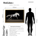 Cargar imagen en el visor de la galería, Cuadro Decorativo Caballos 004
