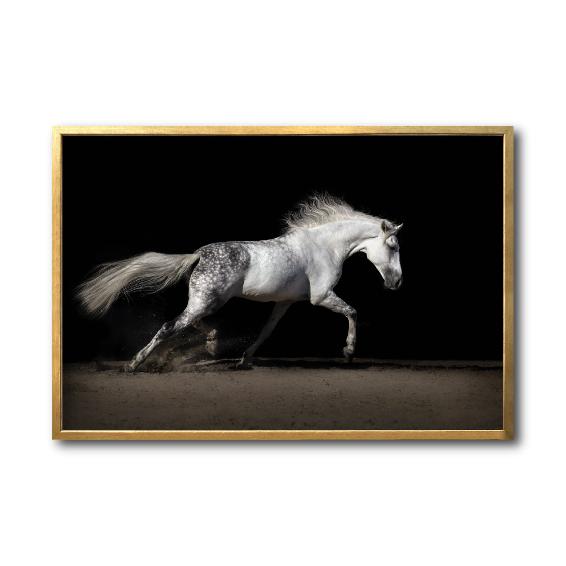 Cuadro Decorativo Caballos 004