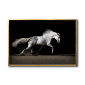 Cuadro Decorativo Caballos 004