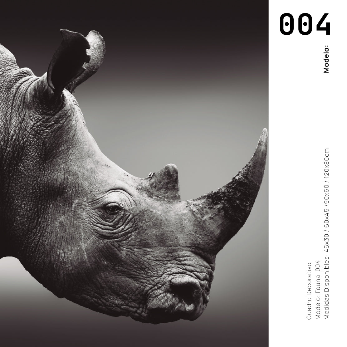 Cuadro Decorativo: Fauna 004 - Rinoceronte Blanco y Negro
