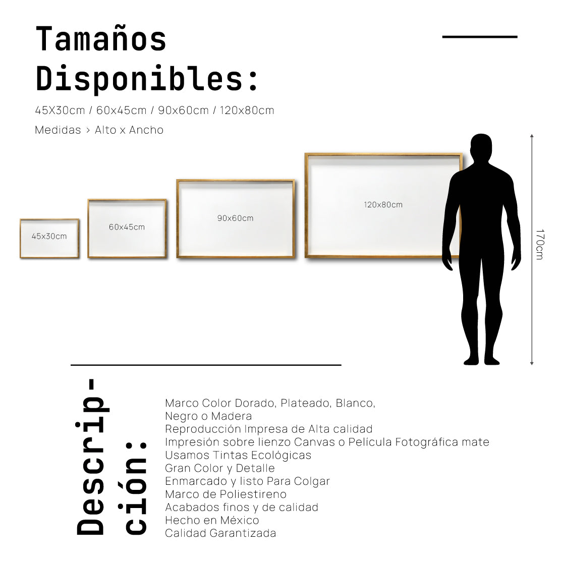 Cuadro Decorativo: Fauna 004 - Rinoceronte Blanco y Negro