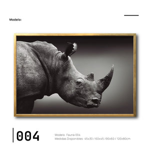 Cuadros decorativos fauna en México para tu Sala. Decoración de interiores. Interiorismo. Galería314. 004