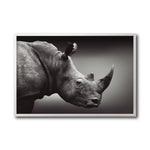 Cargar imagen en el visor de la galería, Cuadro Decorativo: Fauna 004 - Rinoceronte Blanco y Negro
