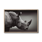 Cargar imagen en el visor de la galería, Cuadro Decorativo: Fauna 004 - Rinoceronte Blanco y Negro
