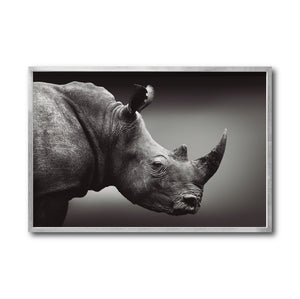 Cuadro Decorativo: Fauna 004 - Rinoceronte Blanco y Negro