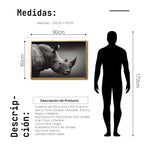 Cargar imagen en el visor de la galería, Cuadro Decorativo: Fauna 004 - Rinoceronte Blanco y Negro

