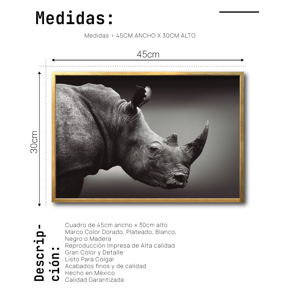 Cuadro Decorativo: Fauna 004 - Rinoceronte Blanco y Negro