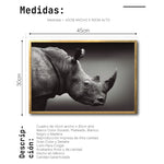 Cargar imagen en el visor de la galería, Cuadro Decorativo: Fauna 004 - Rinoceronte Blanco y Negro
