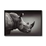 Cargar imagen en el visor de la galería, Cuadro Decorativo: Fauna 004 - Rinoceronte Blanco y Negro
