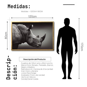 Cuadro Decorativo: Fauna 004 - Rinoceronte Blanco y Negro
